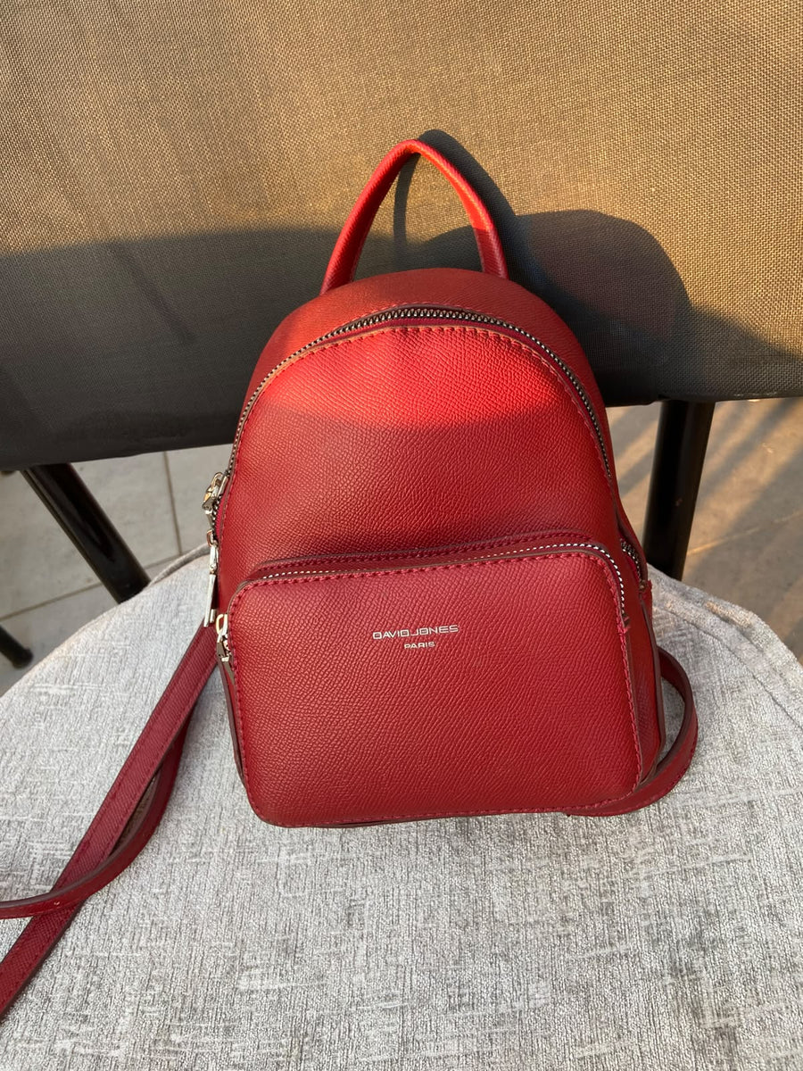David Jones Backpack